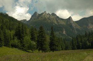 Photo by Roberto Huczek a grassy field with trees and mountains in the background